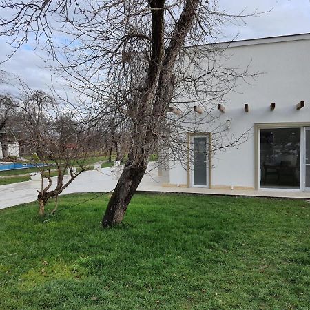 Pensiunea Groza Târgu Jiu Extérieur photo